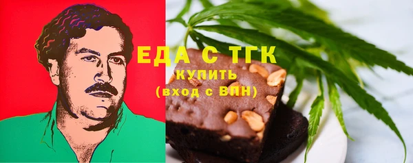 Альфа ПВП Горняк