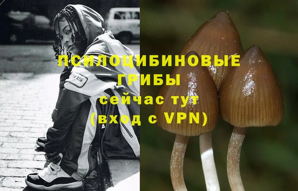 дистиллят марихуана Гусев