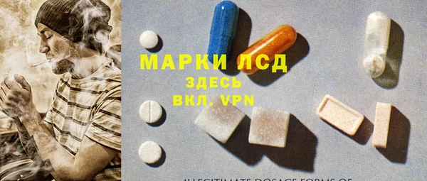 Альфа ПВП Горняк