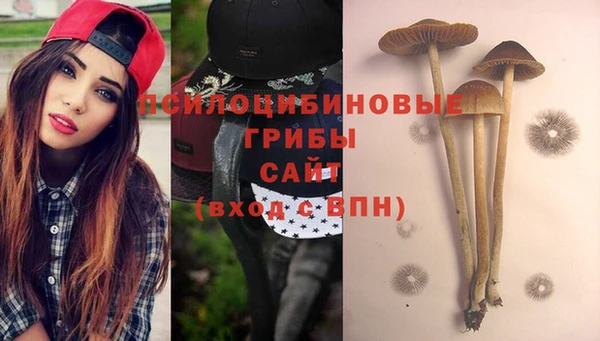 стафф Горно-Алтайск